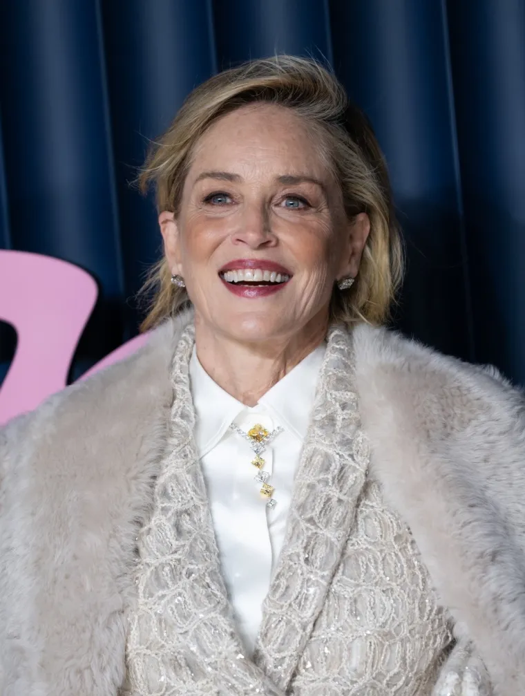 Sharon Stone nekad i danas: Postala seks simbol, naglo oboljela pa se vratila jača nego ikad