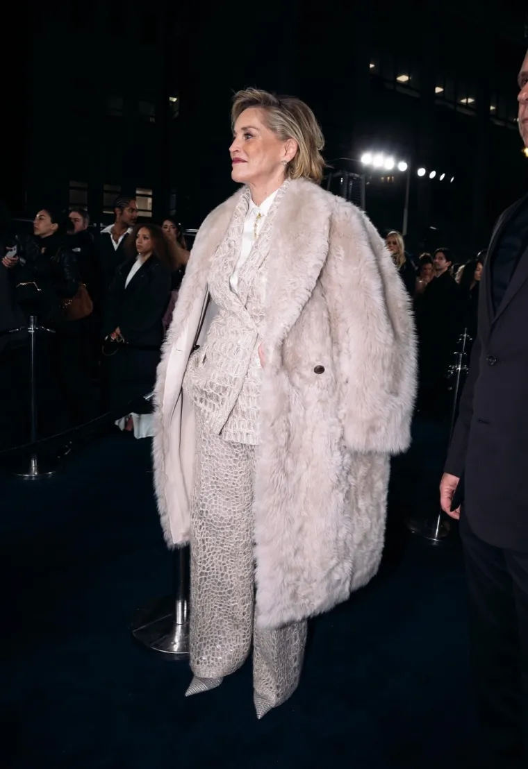 Sharon Stone nekad i danas: Postala seks simbol, naglo oboljela pa se vratila jača nego ikad