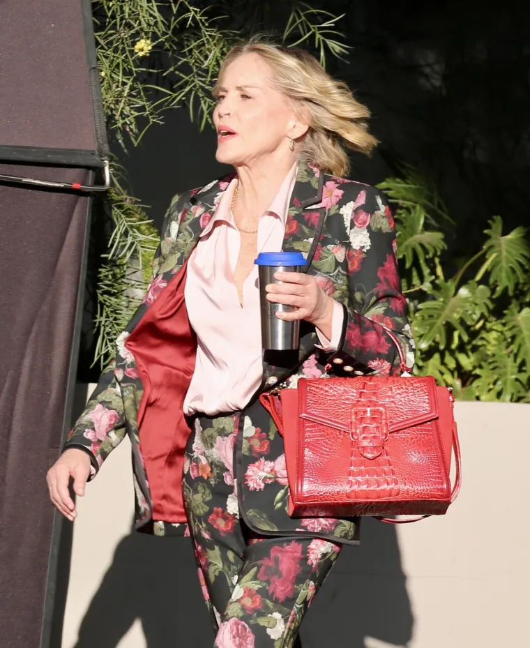 Sharon Stone nekad i danas: Postala seks simbol, naglo oboljela pa se vratila jača nego ikad