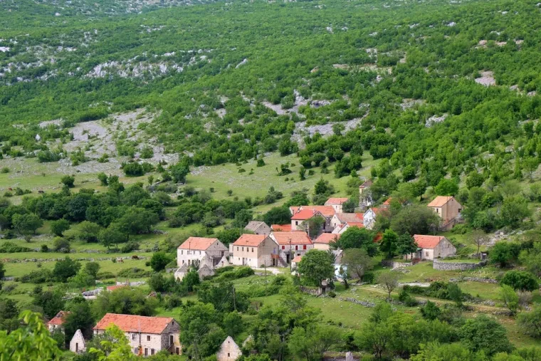 Dokaži da si pravi Thompsonov fan koji zna sve o njemu: Pitanja nisu jednostavna