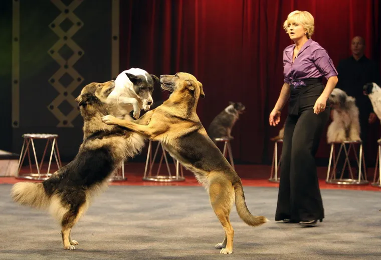 Sanja Doležal nekad i sad: Pogledajte kako se mijenjalo lice čiji je glas obilježio generacije