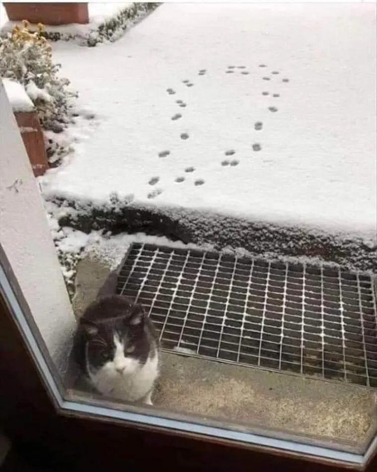 Bilo ljeto, bilo zima, ovo samo na Balkanu ima: Ovi će vas prizori dobro nasmijati u ove sive dane