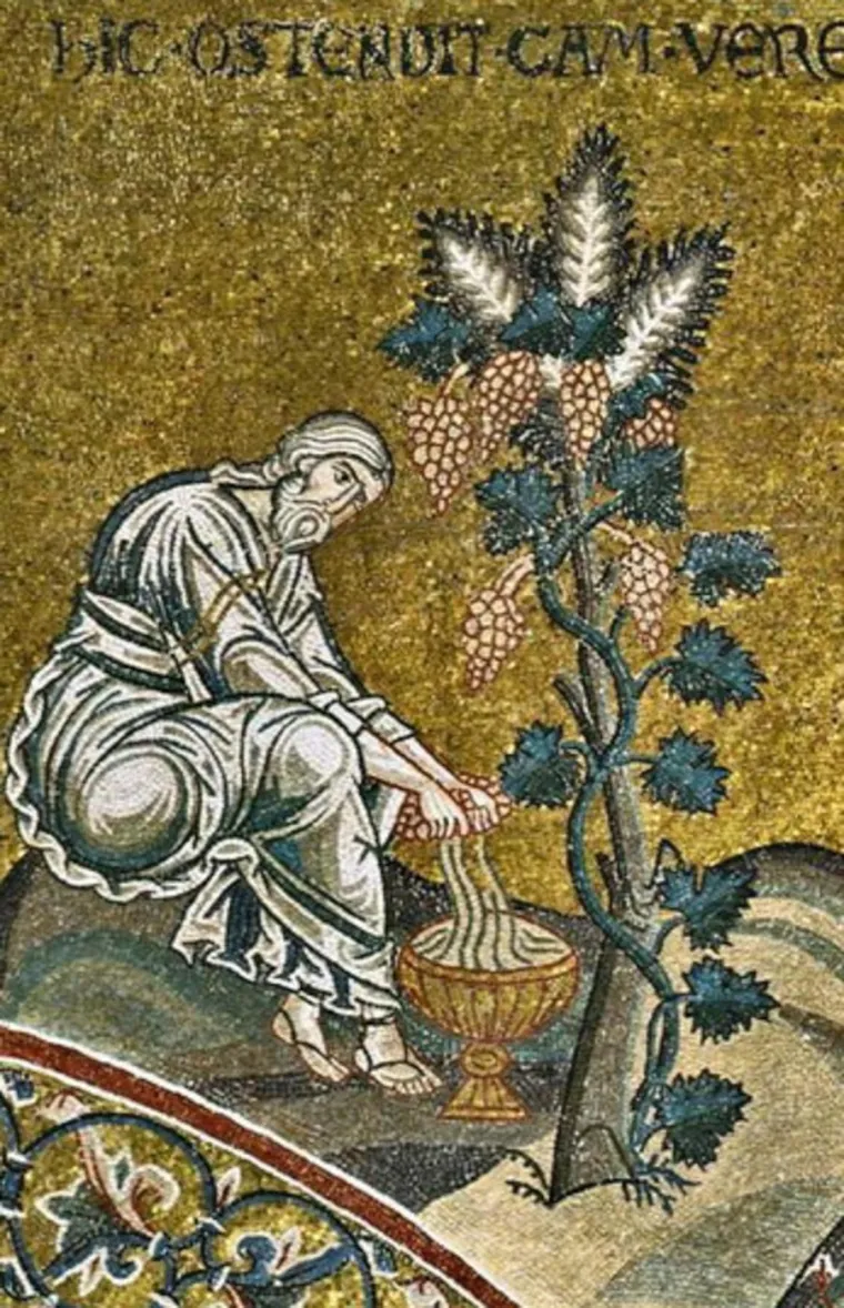 Ovo je 30 najdugovječnijih ljudi iz Biblije: Neki od njih živjeli su skoro 1000 godina