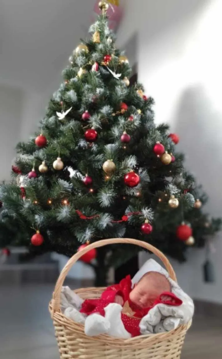 Čarolija va&scaron;ih jelki potpuno nas je opčinila: Ovih 40 nikako nismo htjeli da vam promaknu