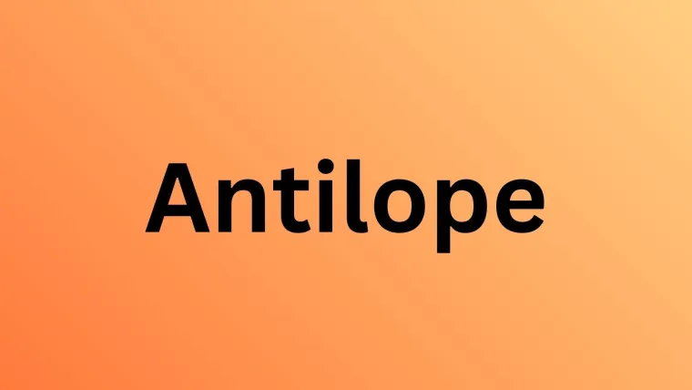 Koliko afričkih životinja može&scaron; prepoznati? Ova pitanja će znati rije&scaron;iti i osnovno&scaron;kolci