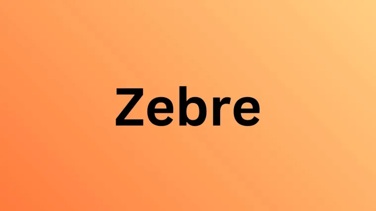 Koliko afričkih životinja može&scaron; prepoznati? Ova pitanja će znati rije&scaron;iti i osnovno&scaron;kolci