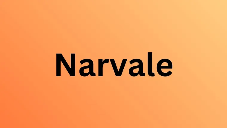 Rijetki će prepoznati sve polarne životinje s fotografija: Dokaži da nije nemoguće