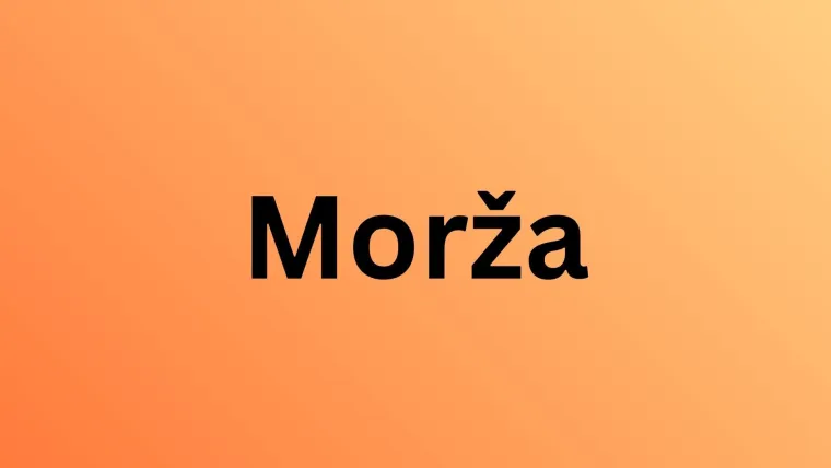 Rijetki će prepoznati sve polarne životinje s fotografija: Dokaži da nije nemoguće