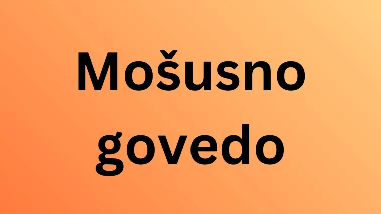 Rijetki će prepoznati sve polarne životinje s fotografija: Dokaži da nije nemoguće