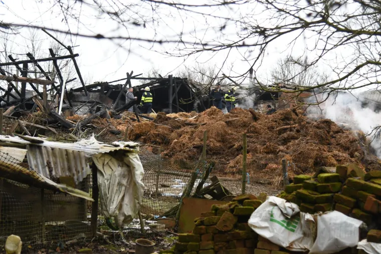 Životinje gorjele u buktinji, 200 kvadrata spaljeno do temelja: 'Pucalo je kao bomba'