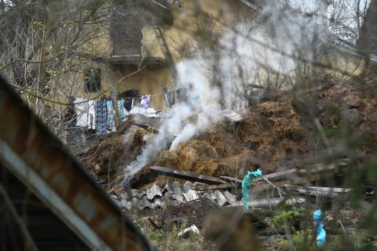 Životinje gorjele u buktinji, 200 kvadrata spaljeno do temelja: 'Pucalo je kao bomba'