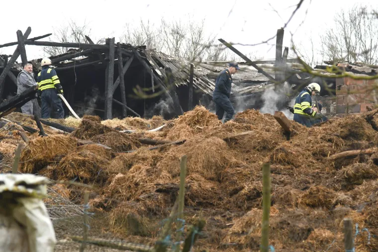 Životinje gorjele u buktinji, 200 kvadrata spaljeno do temelja: 'Pucalo je kao bomba'