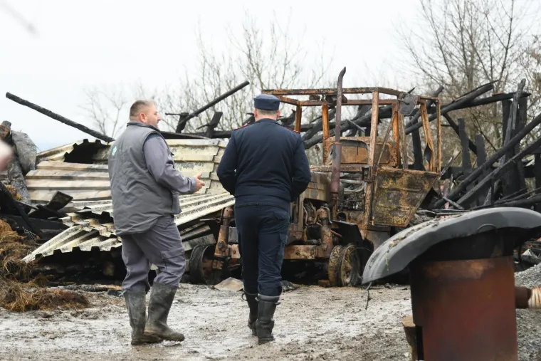Životinje gorjele u buktinji, 200 kvadrata spaljeno do temelja: 'Pucalo je kao bomba'