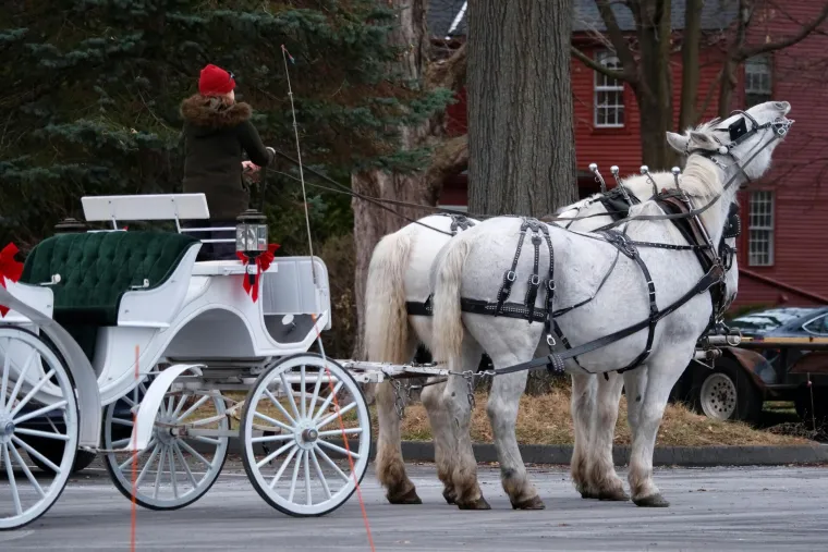 Znate li tko su krzneni i pernati simboli blagdana i za&scaron;to ba&scaron; oni?
