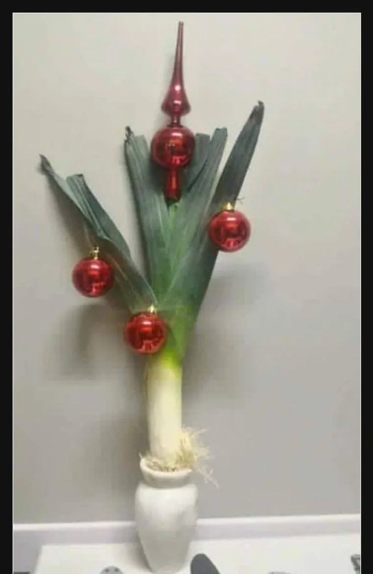 Od prljavog rublja do pivskih boca: Evo od čega sve ljudi slažu jelke, neke su ba&scaron; bizarne