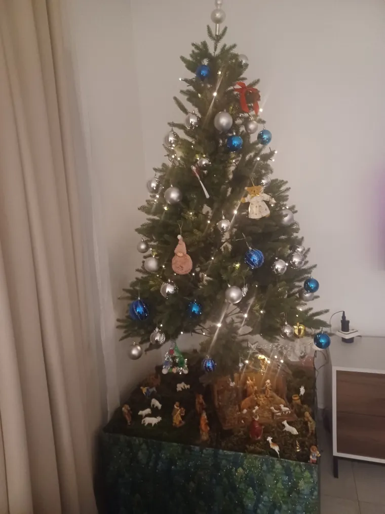 Zasuli ste nas va&scaron;im prekrasnim božićnim jelkama: Ovih 50 ispunilo je na&scaron;a srca toplinom