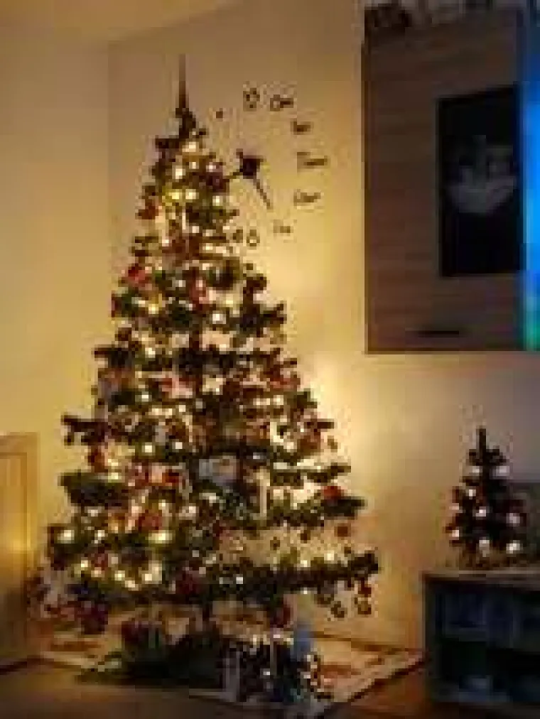 Zasuli ste nas va&scaron;im prekrasnim božićnim jelkama: Ovih 50 ispunilo je na&scaron;a srca toplinom