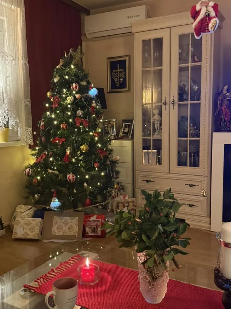 Zasuli ste nas va&scaron;im prekrasnim božićnim jelkama: Ovih 50 ispunilo je na&scaron;a srca toplinom