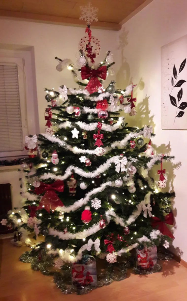 Zasuli ste nas va&scaron;im prekrasnim božićnim jelkama: Ovih 50 ispunilo je na&scaron;a srca toplinom