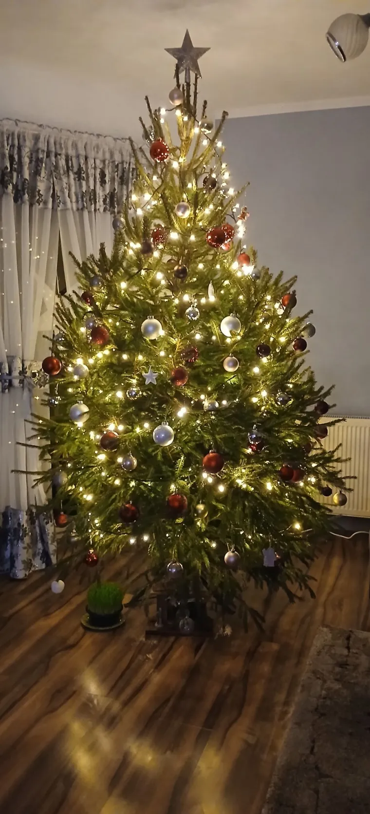 Zasuli ste nas va&scaron;im prekrasnim božićnim jelkama: Ovih 50 ispunilo je na&scaron;a srca toplinom