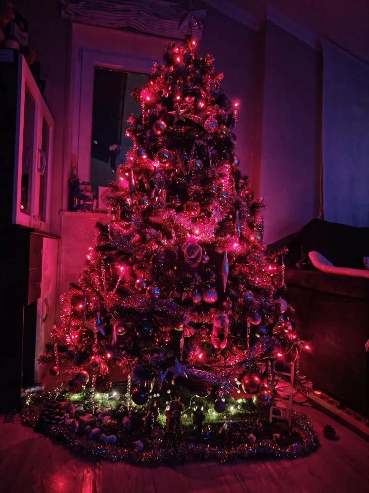 Zasuli ste nas va&scaron;im prekrasnim božićnim jelkama: Ovih 50 ispunilo je na&scaron;a srca toplinom