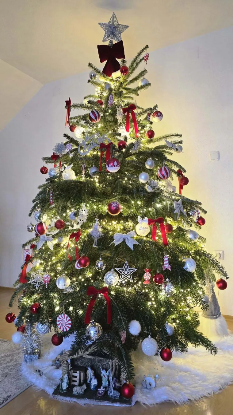 Zasuli ste nas va&scaron;im prekrasnim božićnim jelkama: Ovih 50 ispunilo je na&scaron;a srca toplinom