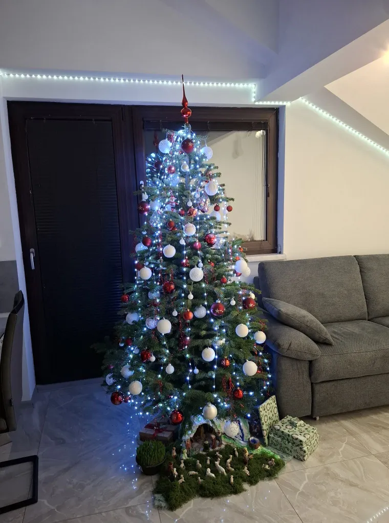 Zasuli ste nas va&scaron;im prekrasnim božićnim jelkama: Ovih 50 ispunilo je na&scaron;a srca toplinom