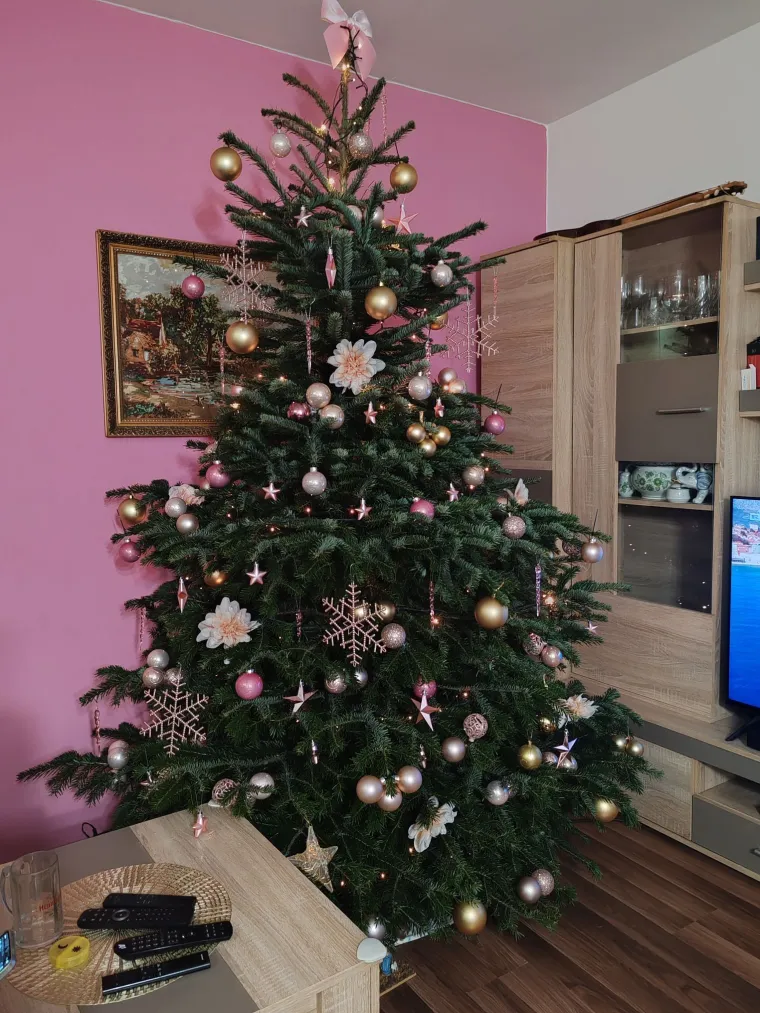 Utrka za najljep&scaron;u božićnu jelku uzela je maha: Zbog ovih 50 žiri je na pravim mukama