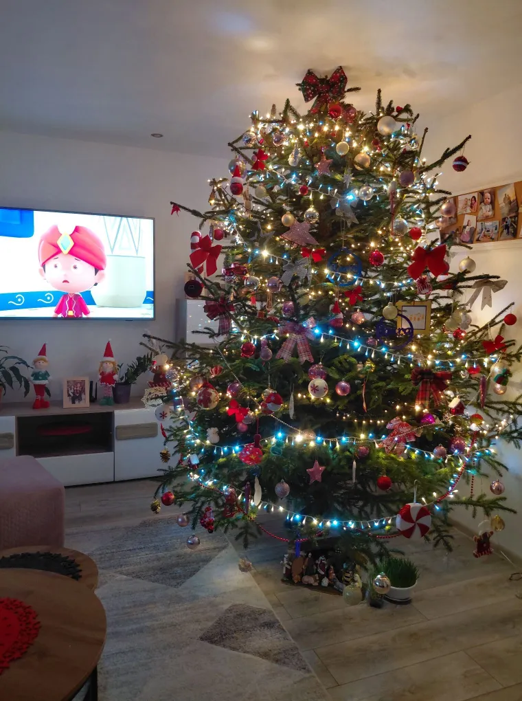 Utrka za najljep&scaron;u božićnu jelku uzela je maha: Zbog ovih 50 žiri je na pravim mukama