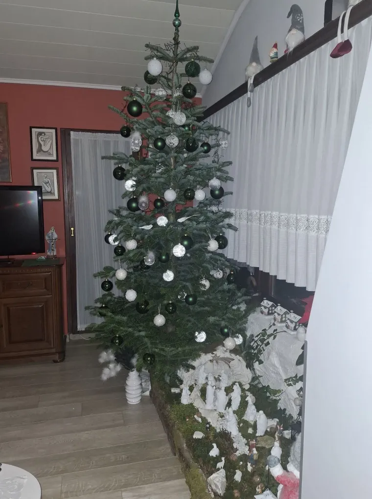 Utrka za najljep&scaron;u božićnu jelku uzela je maha: Zbog ovih 50 žiri je na pravim mukama