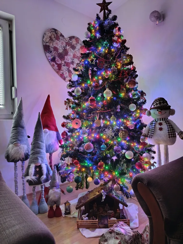 Utrka za najljep&scaron;u božićnu jelku uzela je maha: Zbog ovih 50 žiri je na pravim mukama