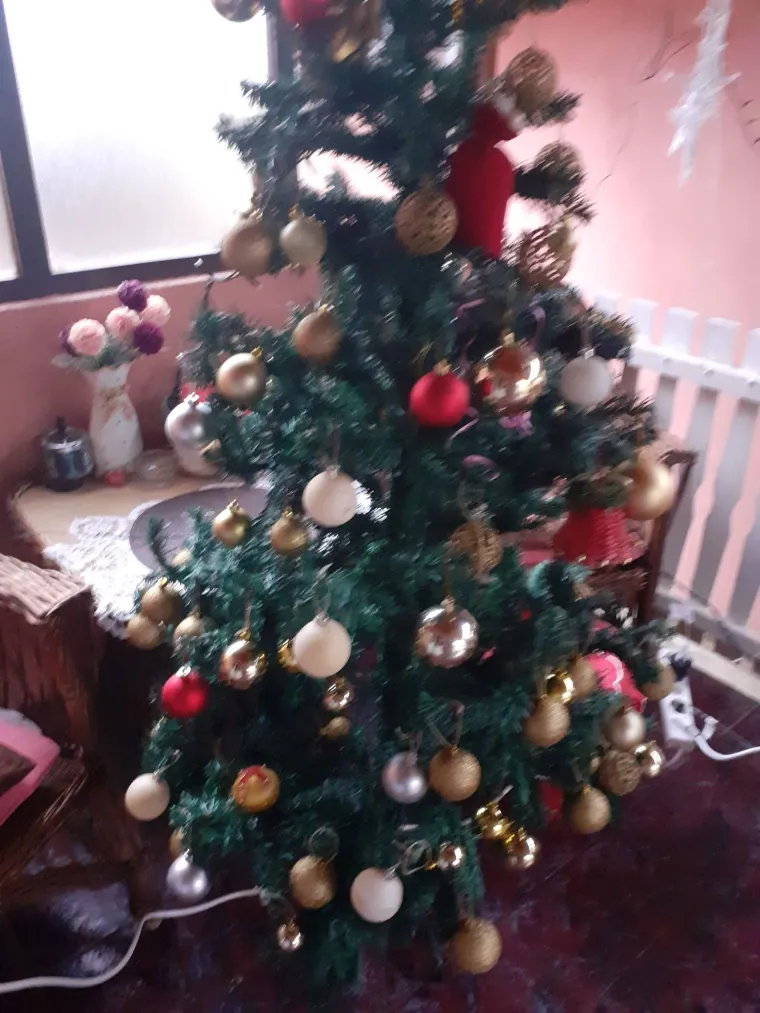 Utrka za najljep&scaron;u božićnu jelku uzela je maha: Zbog ovih 50 žiri je na pravim mukama