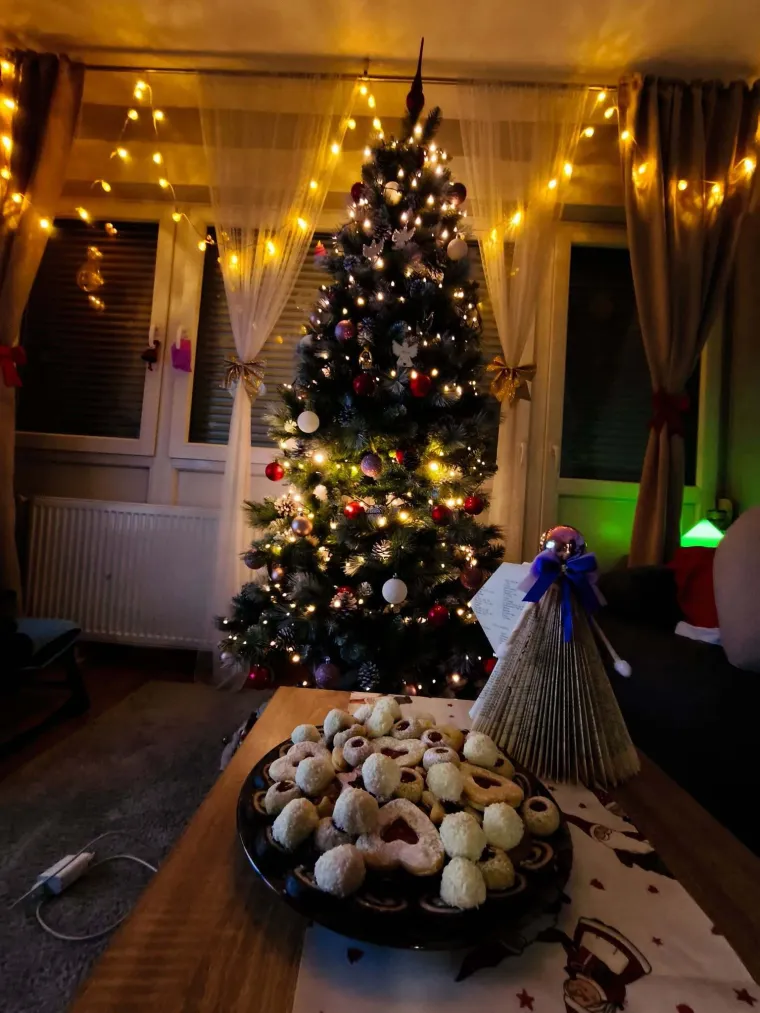 Utrka za najljep&scaron;u božićnu jelku uzela je maha: Zbog ovih 50 žiri je na pravim mukama