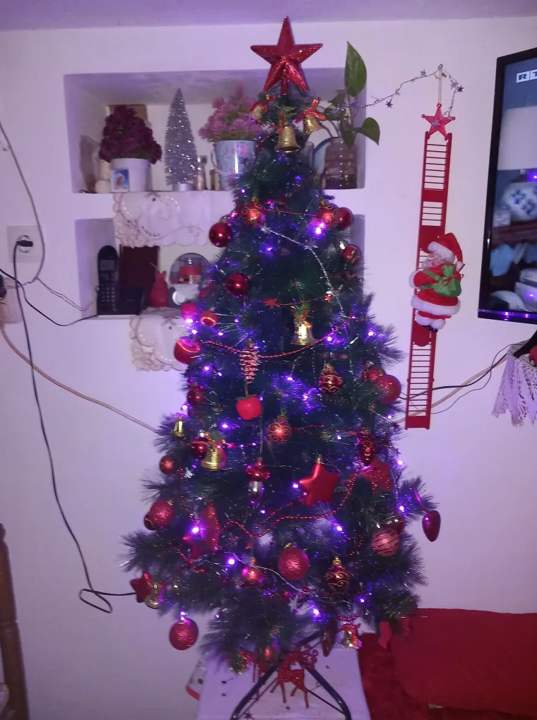 Utrka za najljep&scaron;u božićnu jelku uzela je maha: Zbog ovih 50 žiri je na pravim mukama