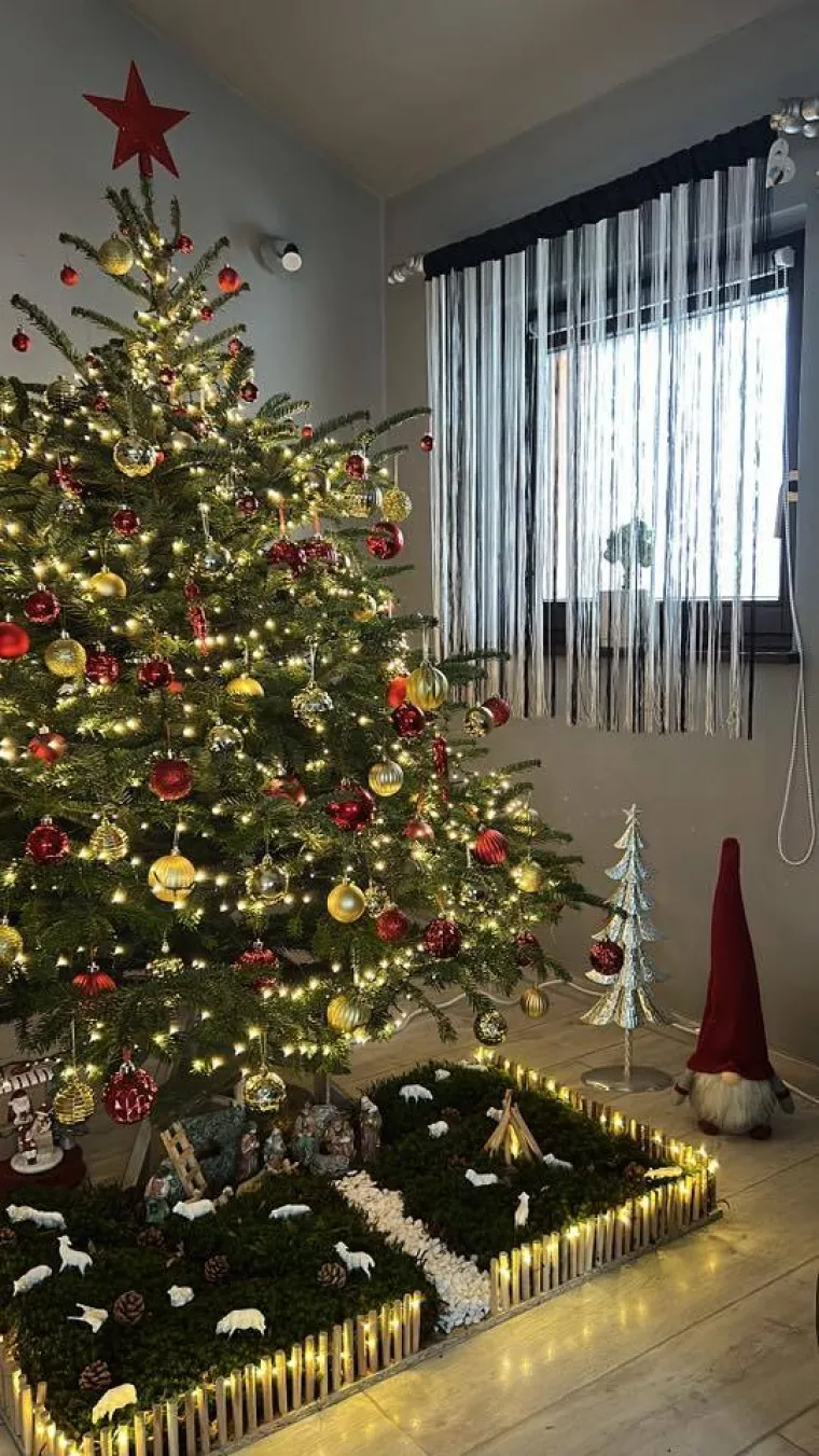 Utrka za najljep&scaron;u božićnu jelku uzela je maha: Zbog ovih 50 žiri je na pravim mukama