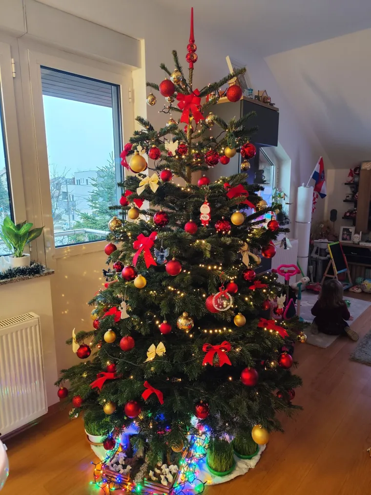 Utrka za najljep&scaron;u božićnu jelku uzela je maha: Zbog ovih 50 žiri je na pravim mukama