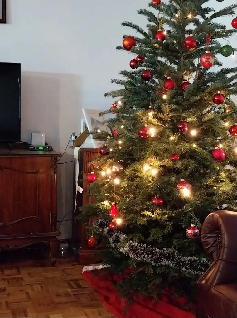 Utrka za najljep&scaron;u božićnu jelku uzela je maha: Zbog ovih 50 žiri je na pravim mukama