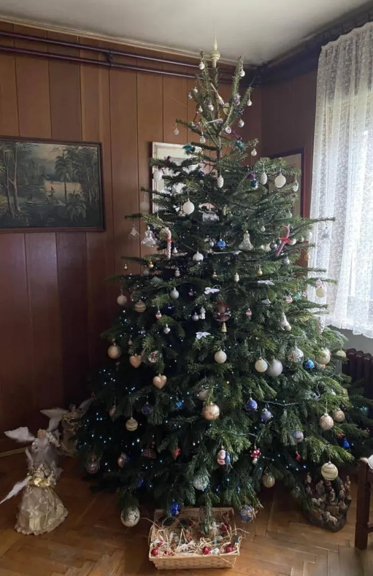 Utrka za najljep&scaron;u božićnu jelku uzela je maha: Zbog ovih 50 žiri je na pravim mukama