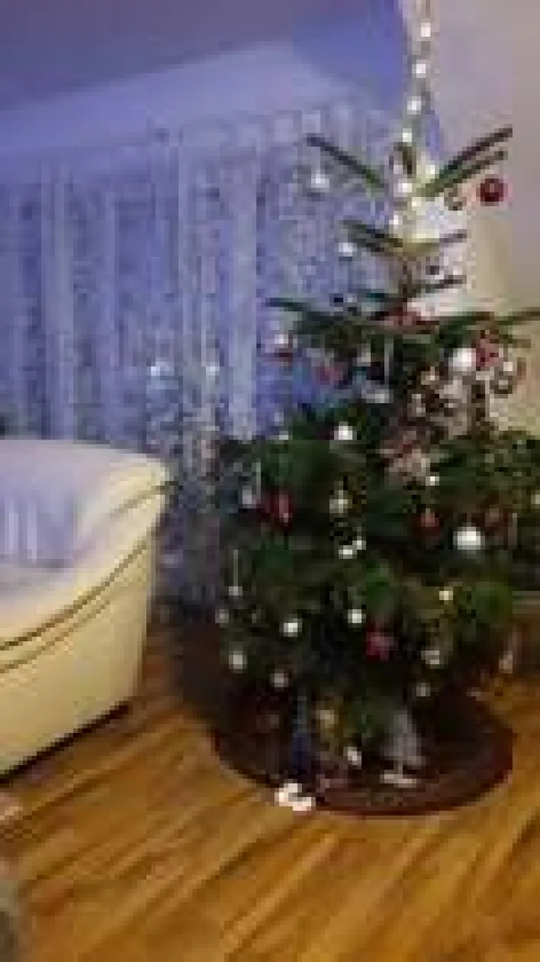 Utrka za najljep&scaron;u božićnu jelku uzela je maha: Zbog ovih 50 žiri je na pravim mukama