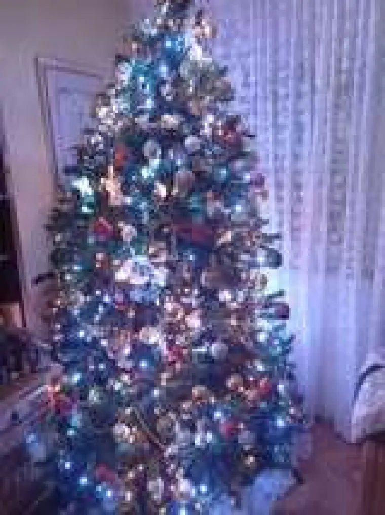 Utrka za najljep&scaron;u božićnu jelku uzela je maha: Zbog ovih 50 žiri je na pravim mukama