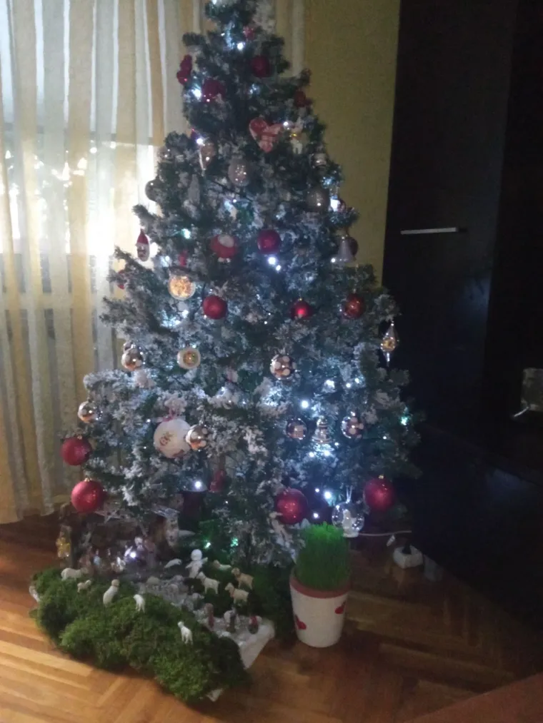 Utrka za najljep&scaron;u božićnu jelku uzela je maha: Zbog ovih 50 žiri je na pravim mukama