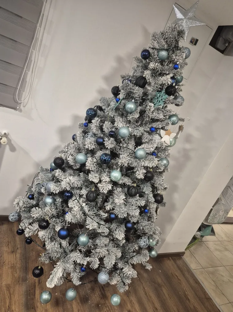 Utrka za najljep&scaron;u božićnu jelku uzela je maha: Zbog ovih 50 žiri je na pravim mukama