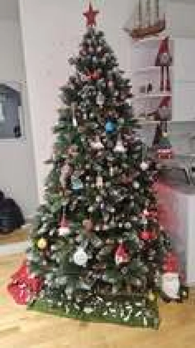 Utrka za najljep&scaron;u božićnu jelku uzela je maha: Zbog ovih 50 žiri je na pravim mukama