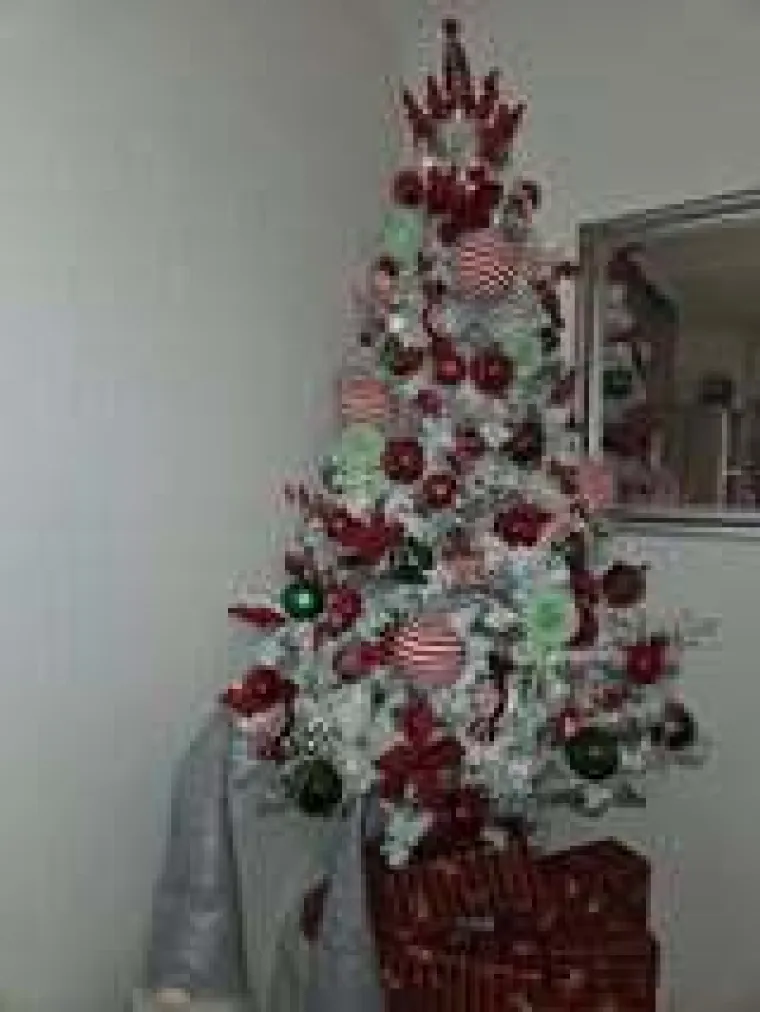 Utrka za najljep&scaron;u božićnu jelku uzela je maha: Zbog ovih 50 žiri je na pravim mukama