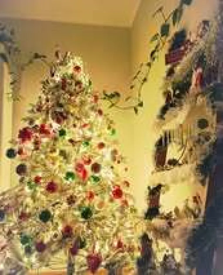 Utrka za najljep&scaron;u božićnu jelku uzela je maha: Zbog ovih 50 žiri je na pravim mukama