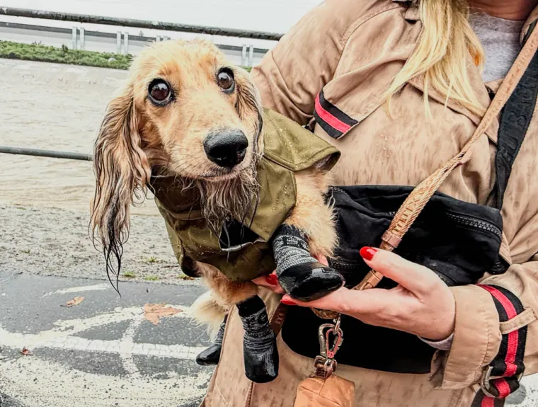 Probudili se okovani snijegom i pod vodom: Pogodio ih je fenomen 'atmosferske rijeke'