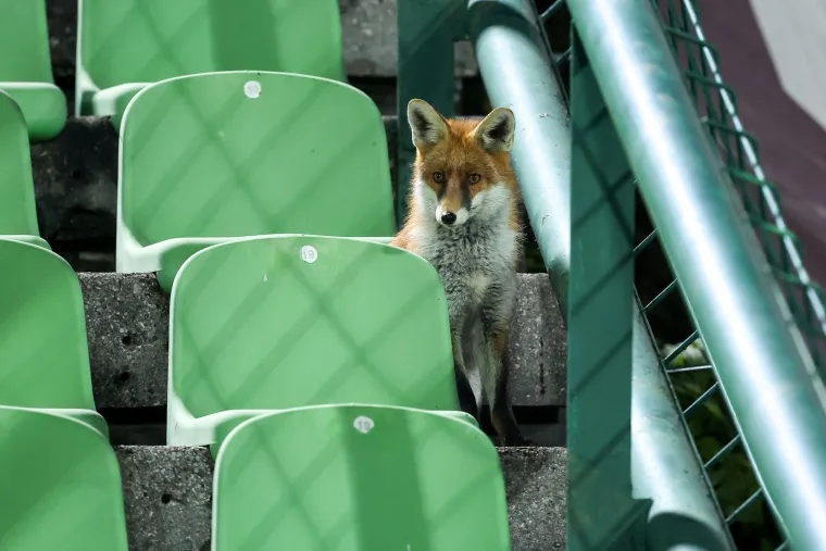 Neke će vas rasplakati, a neke nasmijati: Top fotografije koje su obilježile 2025. godinu!