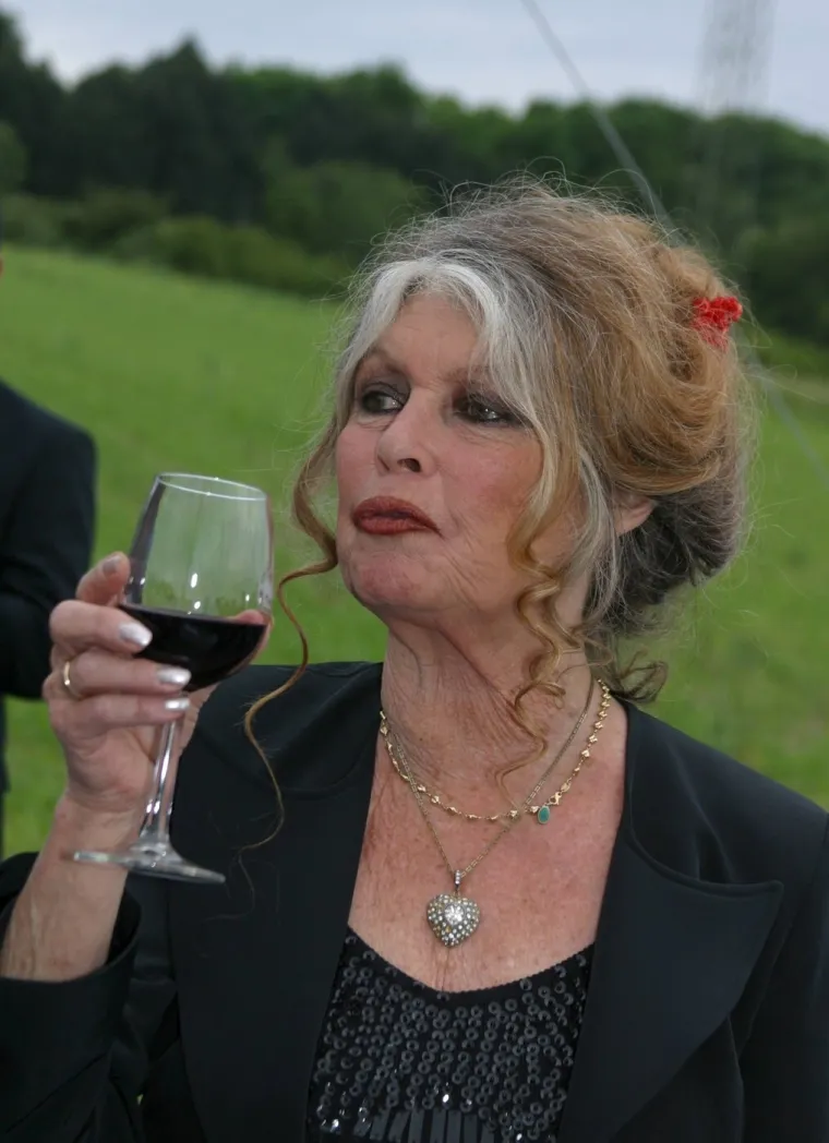 Brigitte Bardot, lijepa kao grijeh: Pogledajte fotografije žene koja je očarala cijeli svijet