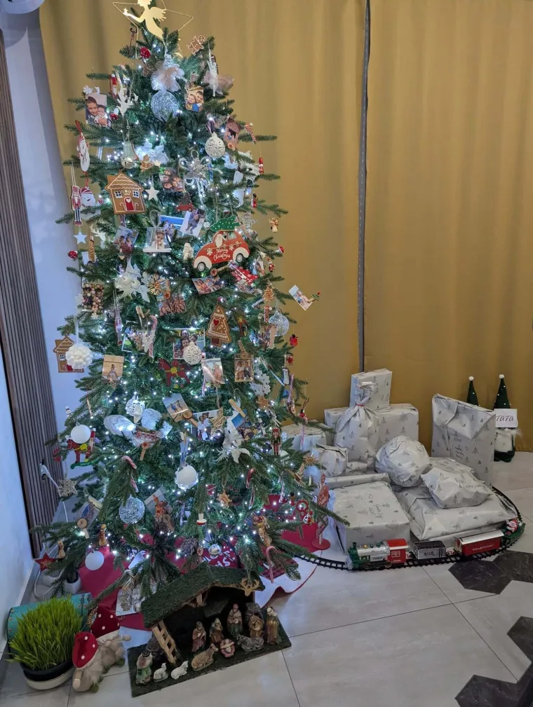 Doček je pro&scaron;ao, ali blagdanski sjaj traje: Uživajte u pogledu na va&scaron;ih 50 prekrasnih jelki