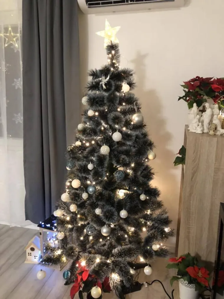 Doček je pro&scaron;ao, ali blagdanski sjaj traje: Uživajte u pogledu na va&scaron;ih 50 prekrasnih jelki